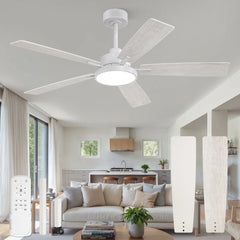 Zardon 52 in Black Ceiling Fan with LED Light and Remote, Downrod 6-Speed and Quiet Reversible DC Motor for Bedroom, Living Room, Indoor