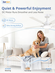 Zardon 52 in Black Ceiling Fan with LED Light and Remote, Downrod 6-Speed and Quiet Reversible DC Motor for Bedroom, Living Room, Indoor