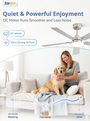 Zardon 52 in Black Ceiling Fan with LED Light and Remote, Downrod 6-Speed and Quiet Reversible DC Motor for Bedroom, Living Room, Indoor